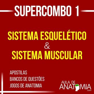 Supercombo 1 - Sistema Esquelético & Sistema Muscular