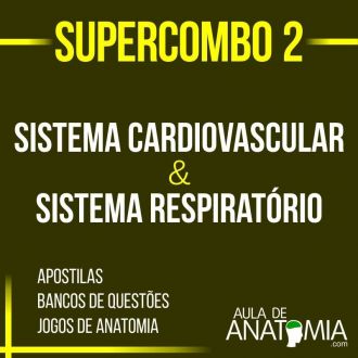 Supercombo 2 - Sistema Cardiovascular & Sistema Respiratório