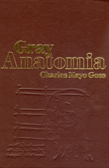 Gray Anatomia - 29 Ed. - Capa do livro Gray Anatomia - Charles Mayo Goss