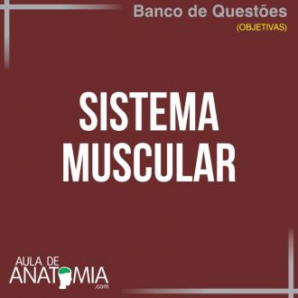 Sistema Muscular - Questes Objetivas